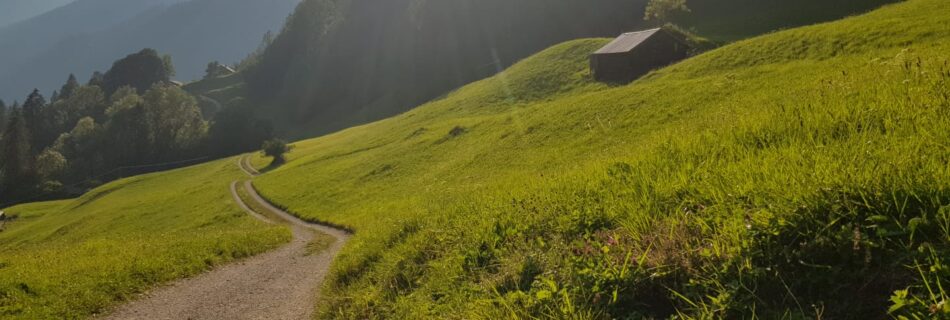 Sonnenbeschienener Wanderweg nach Hintergraseck mit Blick auf die Alpen