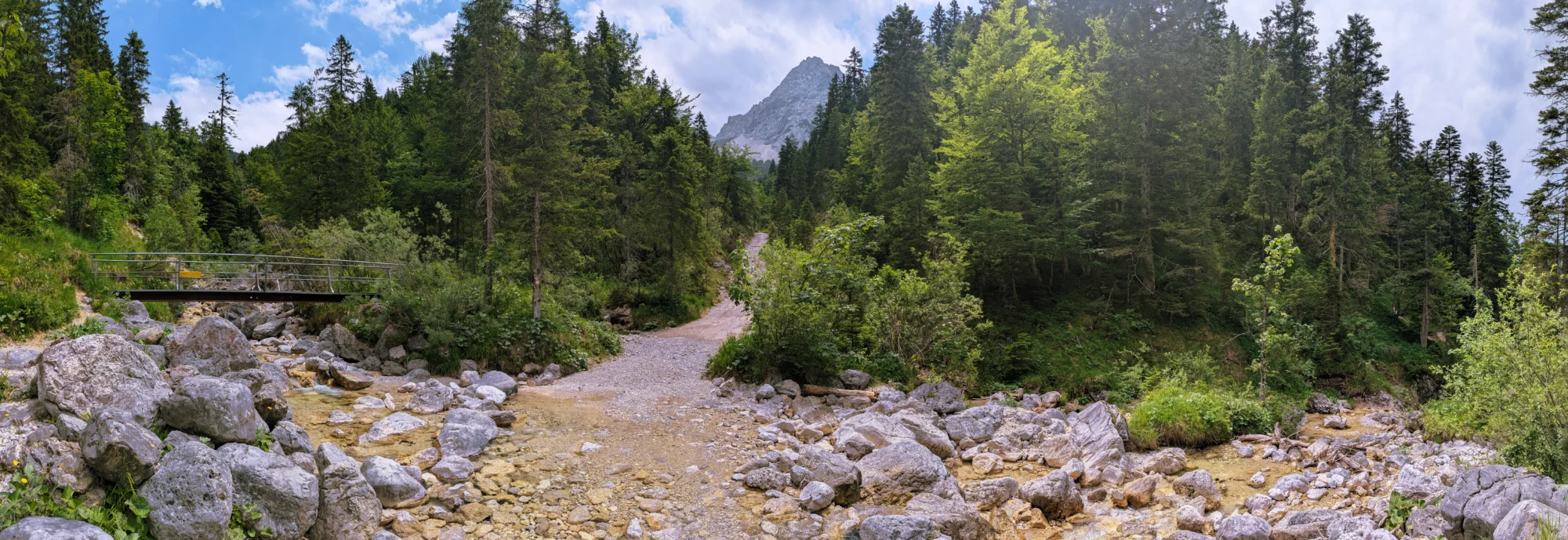 Metallbrücke über Gassellahnbach im Gebirgswald