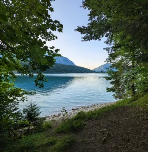 Blick durch grüne Bäume auf das türkisfarbene Wasser des Walchensees mit Bergkulisse im Hintergrund