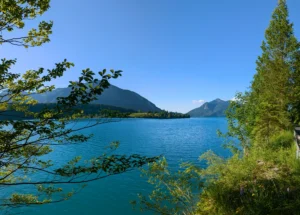 Blick über den Walchensee mit bewaldetem Ufer im Vordergrund