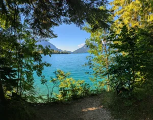 Walchensee durch belaubte Äste fotografiert mit Blick auf Insel Sassau
