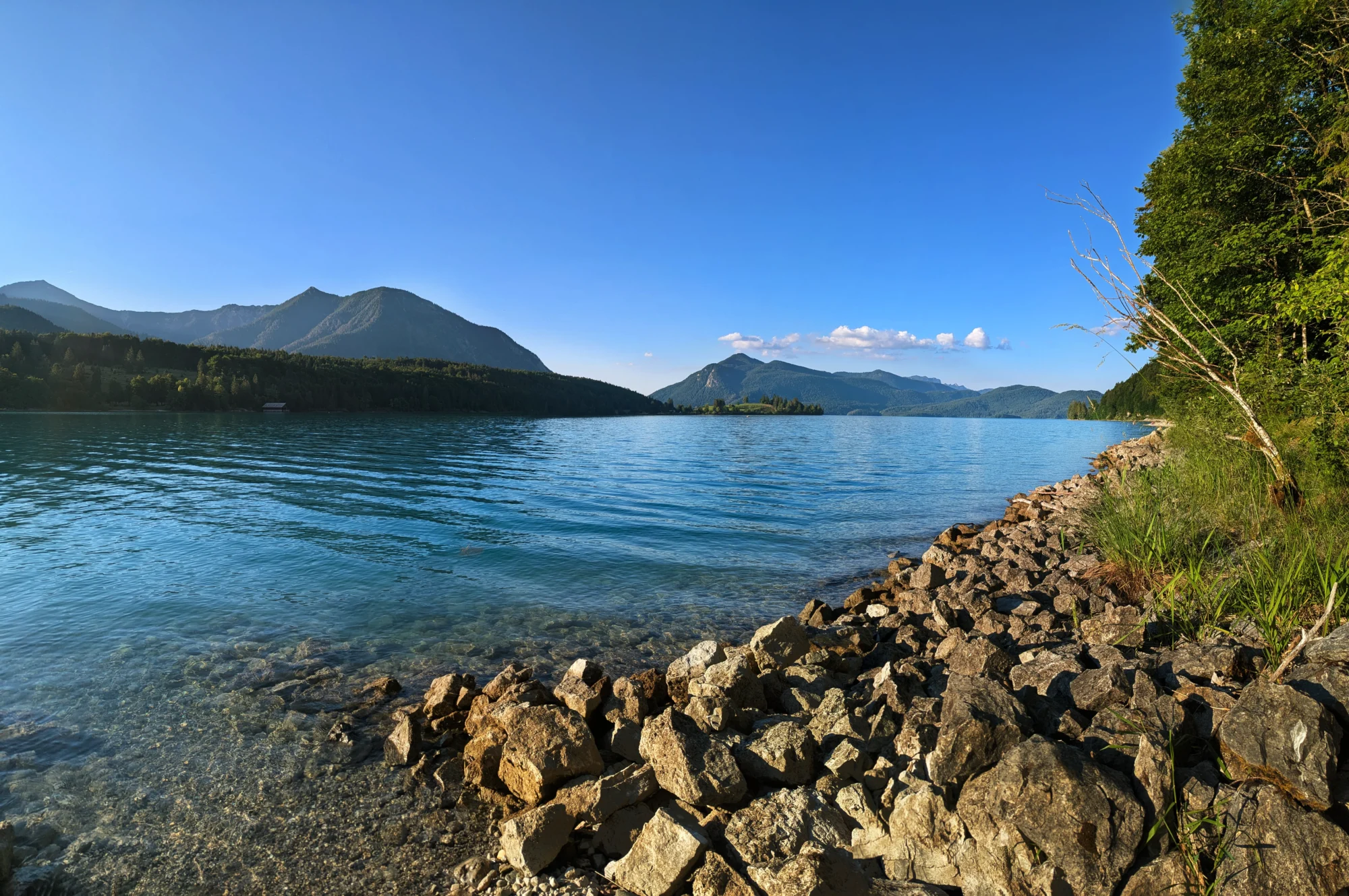 Walchensee mit Insel Sassau und Blick auf Jochberg