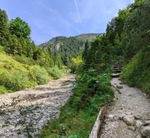 Trockener Bachlauf mit Wanderweg durch ein bewaldetes Hochtal nahe dem Heimgarten