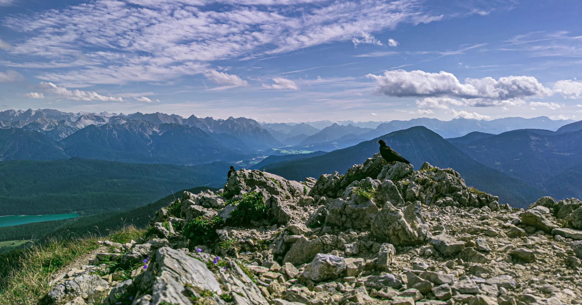 Zwei Alpendohlen auf Felsen mit Alpenpanorama am Heimgarten – Erlebnis nahe Ferienhaus Wiesenhof Klais.