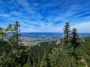 Blick vom Heimgarten über bewaldete Hügelketten Richtung Alpen