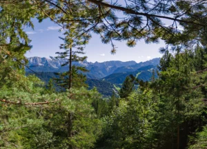 Blick durch Bergwald auf das Alpenpanorama am Wank bei Garmisch-Partenkirchen, Ausflug vom Ferienhaus Wiesenhof in Klais.