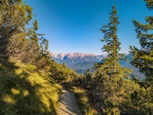 Wanderweg am Wank mit Blick auf das Karwendelgebirge und Wettersteingebirge, Natururlaub nahe dem Ferienhaus Wiesenhof Klais.